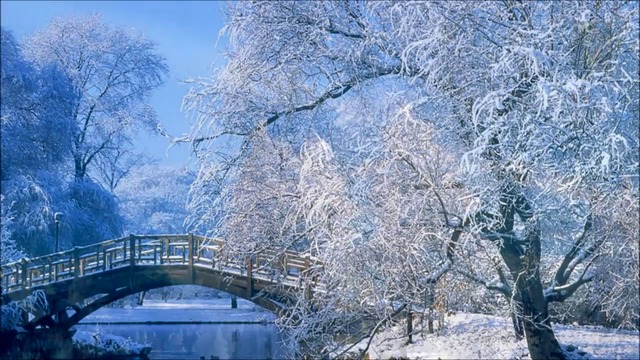 Зимна приказка