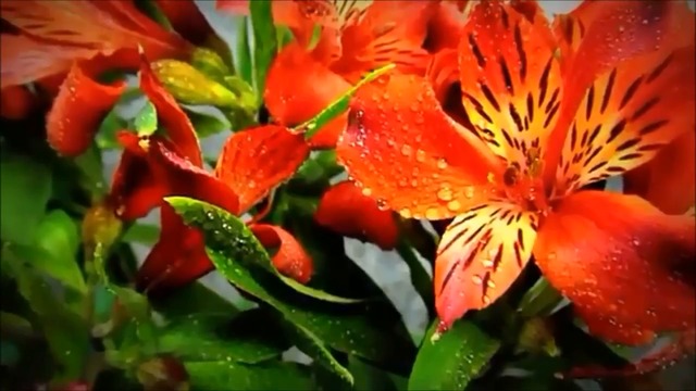 Band ODESSA  -  Сборник  ТОП ХИТЫ