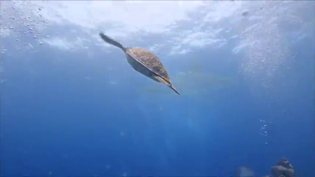 Красивые Песни 💖 ШАНСОН 💖 Fantastic Ocean