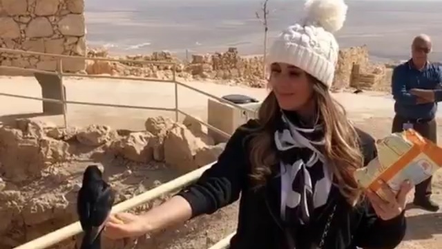 Кати Сиачоке храни гълъбите