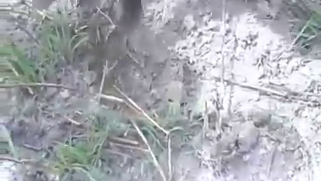 в африка, риба, картофи и по едно и също време