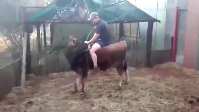 Кравалиеро