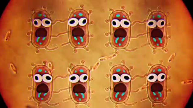 Възходът на бактериите  Невероятният свят на Гъмбол  Cartoon Network