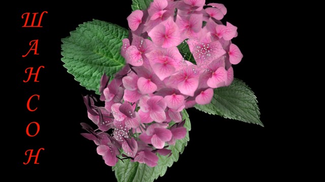 AKRITIS - БЕЗ НЕЁ