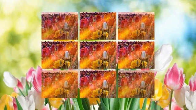 Я. Сумишевский и Олеся Подворчан  -  У беды глаза зеленые