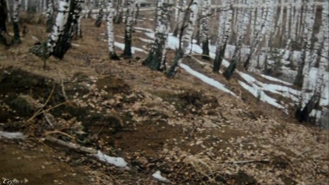 Игорь Таушканов - На полях уж не белеет снег