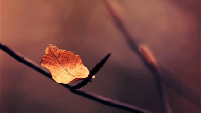 Rita Forte - Le donne sono un altra cosa