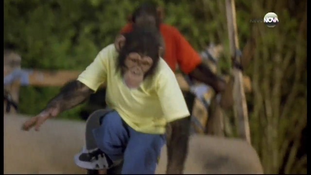 МВП 2: Маймунски върхови постижения (2001) (бг аудио) (част 5) TV Rip KinoNova 27.02.2017