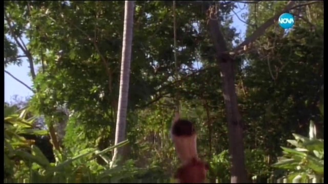 Книга за джунглата: Историята на Маугли (1997) (бг аудио) (част 2) TV Rip NOVA 27.02.2017