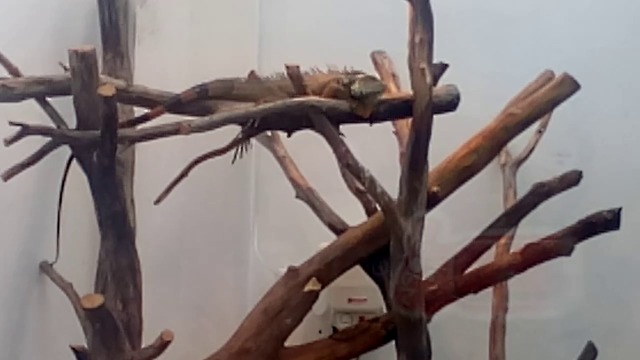 Минерални бани Хасково Терариум