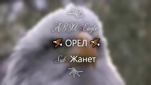 🦅 Abba - Eagle / Превод /