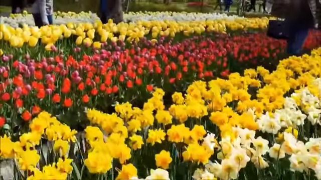 Красивая МУЗЫКА для Души