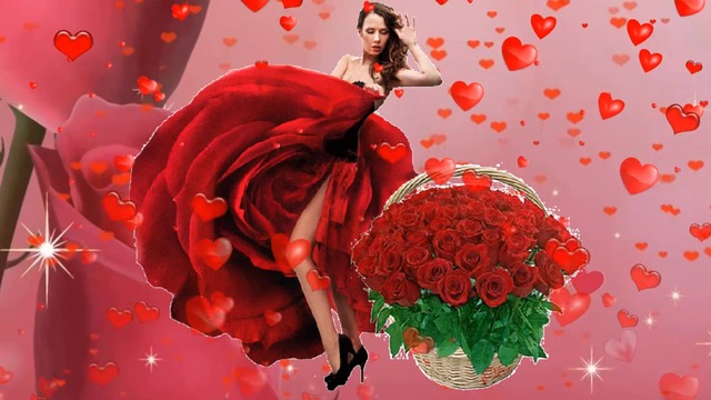 РОЗЕ - РОЗЫ!