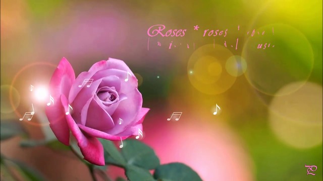 Рози  🌹  рози 🌹  рози!  ... (Richard Abel  music)