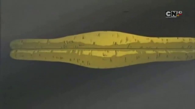 ЮГИО СЕЗОН 1