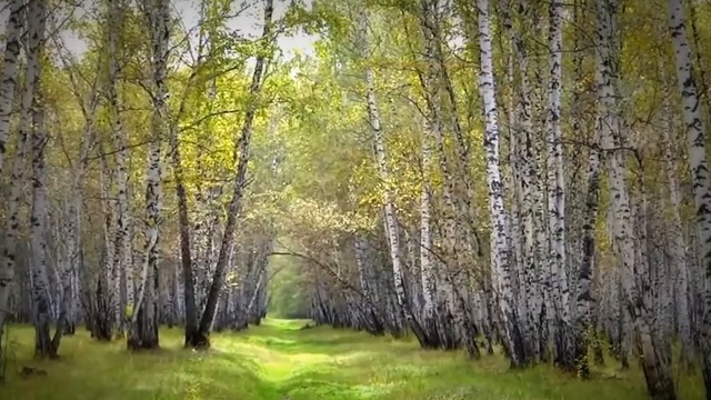 Валерий Сёмин  -  Играй, баян, душа моя!