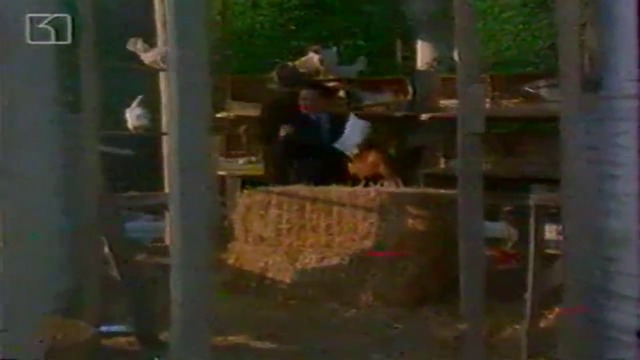 Селяндури в Бевърли Хилс (1993) (бг аудио) (част 9) VHS-TV Rip Канал 1