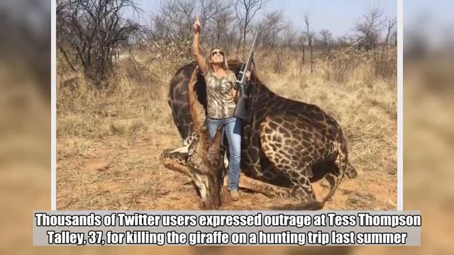 Американка, убила жираф в Африка, възмути света! An American woman who killed a giraffe in Africa has outraged the world