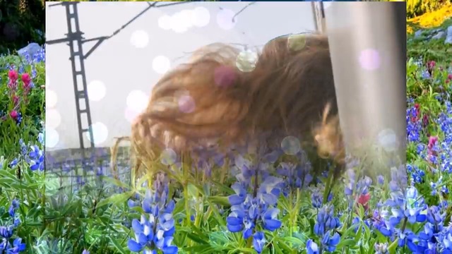 Олег Голубев    -    Я НЕ МОГУ БЕЗ ТЕБЯ!