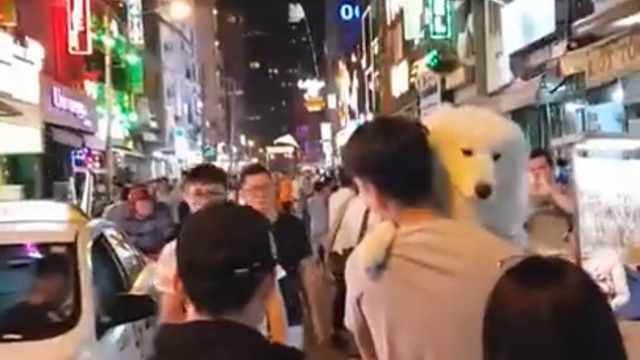 КРАСИВО КУЧЕ СЕ УПЛАШИ ОТ СУМАТОХАТА В ГОЛЕМИЯ ГРАД