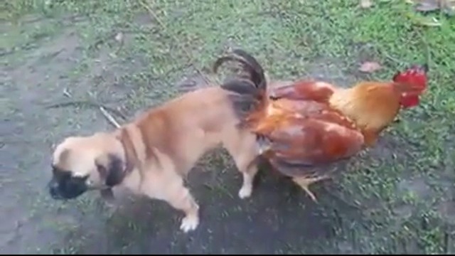 ЕЕЕЕЕЕЕЕ......ТОВА НЕ БЯХ ВИЖДАЛ