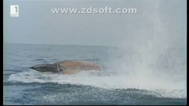 По следите на капитан Грант (1985) - Епизод 7 - Робинзон на Океания (бг аудио) (част 4) TV Rip БНТ 1 13.08.2018