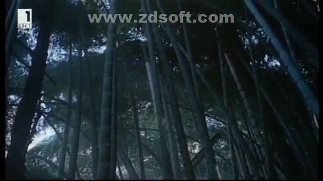 По следите на капитан Грант (1985) - Епизод 7 - Робинзон на Океания (бг аудио) (част 6) TV Rip БНТ 1 13.08.2018