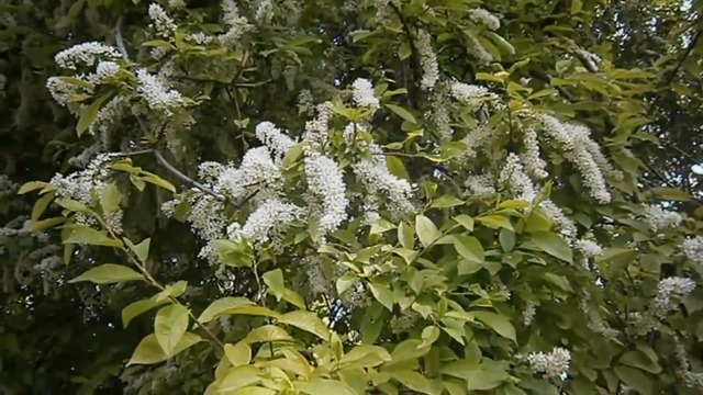 ТАТЬЯНА КОЗЛОВСКАЯ   -   СОЛНЫШКО МОЕ!