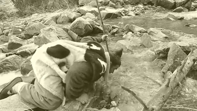 Рофинка е Болна Легнала