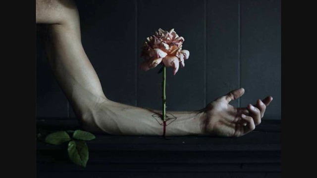 Predrag Tocilovac - Gde ti je ljepota draga