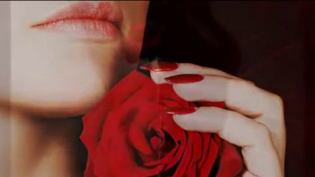 Muhamed Mujkanovic - Pamtim