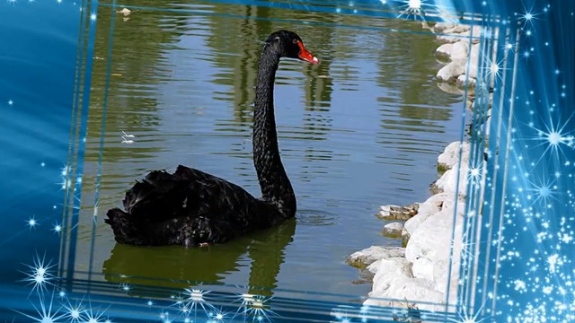 ВЯЧЕСЛАВ АНИСИМОВ - БУКЕТ ТУМАННЫХ ЗВЕЗД!