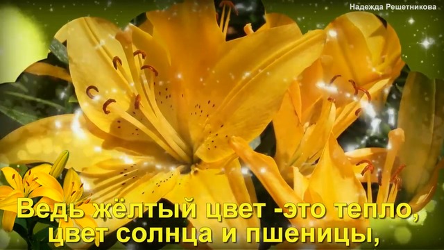 Дарите жёлтые цветы! Не верьте злым приметам.